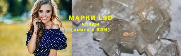 прущие грибы Абаза