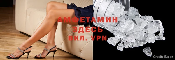 прущие грибы Абаза