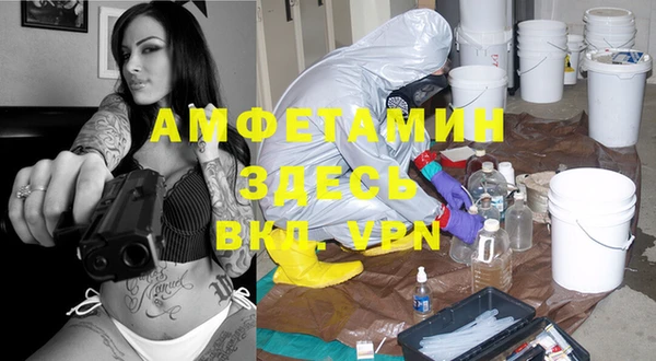 крисы Абдулино