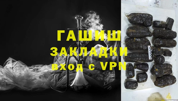 прущие грибы Абаза