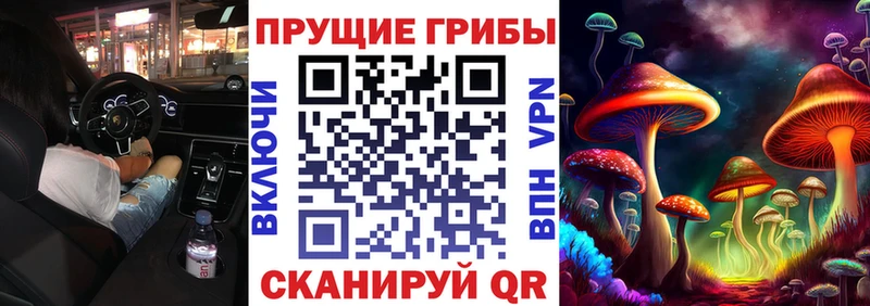продажа наркотиков  Сургут  Псилоцибиновые грибы Psilocybe 